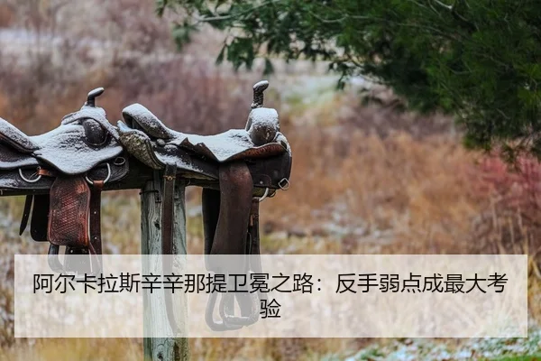 a-er-ka-la-si-xin-xin-na-ti-wei-mian-zhi-lu-fan-shou-ruo-dian-cheng-zui-da-kao-yan-2-127.jpg