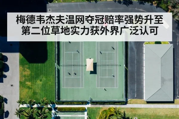 梅德韦杰夫温网夺冠赔率强势升至第二位草地实力获外界广泛认可